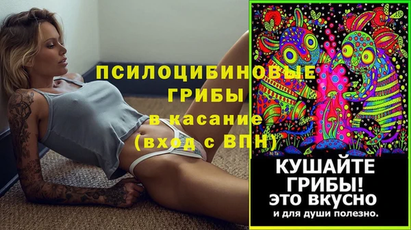 ECSTASY Аркадак